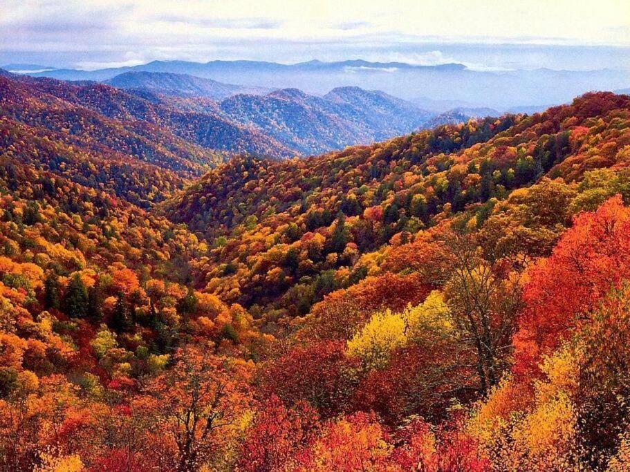Whiskey Ridge Lodge, A Restored 1940S Gem, 2 Mins From Downtown, Breathtaking City Views, Custom Game Room, And Spacious Elegance ガトリンバーグ エクステリア 写真